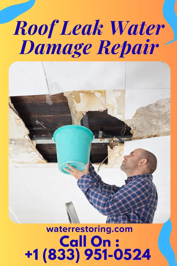 Roof Leak Water Damage Repair in Maysville, MO